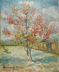 Pêcher en fleurs