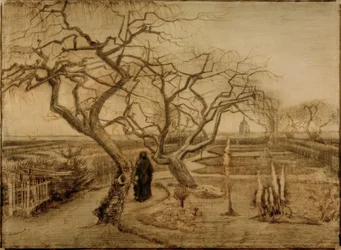 Jardin en hiver