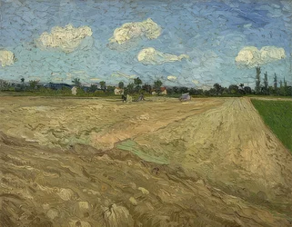 Champ labouré (sillons). 1888