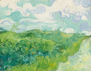 Champs de blé verts, Auvers. 1890