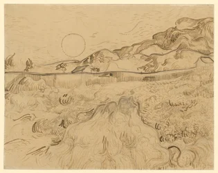 Champ de blé, le faucheur