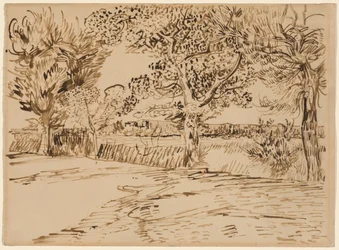 Paysage à Arles