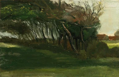 Paysage avec arbres battus par le vent, c.1883-84