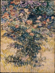 Lauriers-roses, le jardin de l