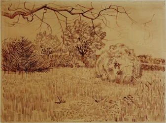 Parc avec buisson