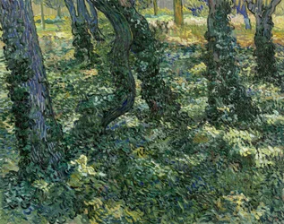 Paysage de sous-bois