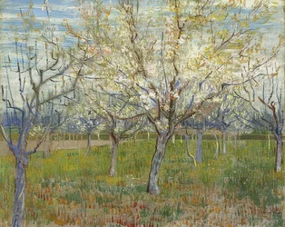Verger rose. 1888