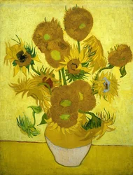 Tournesols