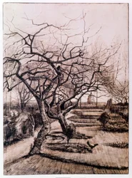 Le jardin du presbytère à Nuenen en hiver (1884)