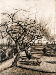 Le jardin du presbytère à Nuenen en hiver
