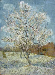 Le pêcher rose