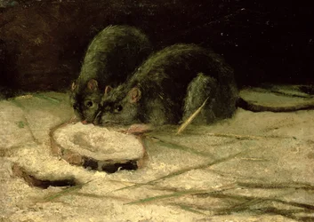 Deux rats, vers 1884