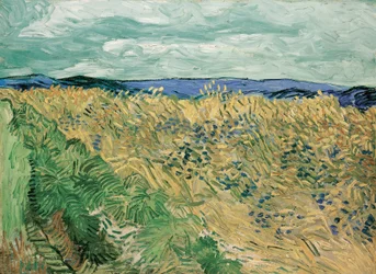 Champ de blé avec bleuets