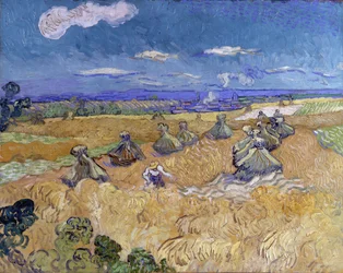 Champ de blé avec gerbes et moissonneuse