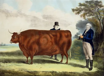 Portrait de M. T.W. Coke Esq. et Clerk Hilliard Esq. avec un bœuf du North Devon