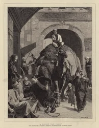 Un chemin étroit, Le Caire