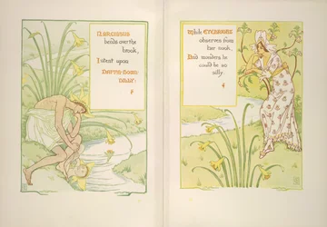 Narcisse et l