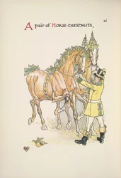 Deux chevaux