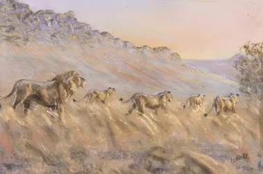 Lions africains (pastel)