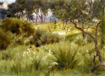 Bois à Redesdale