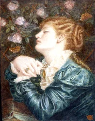 Lys et rose