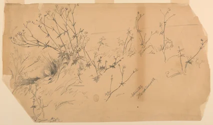Étude de la nature