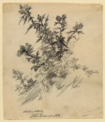 Étude de la nature