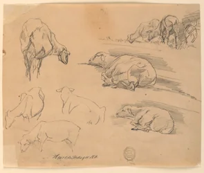 Esquisses de moutons