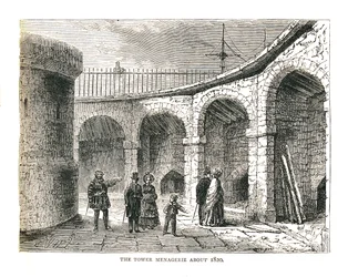 La Ménagerie de la Tour, 1878