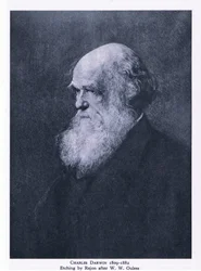 Gravure de Charles Darwin, Nature en Grande-Bretagne publié par Collins