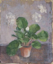 Nature morte avec pot de fleurs