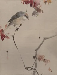 Oiseau sur une branche regardant une araignée