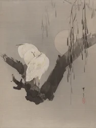 Aigrettes dans un arbre la nuit, vers 1887
