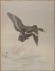 Oie volante, vers 1887