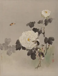 Roses, Jeune Oiseau et un Papillon, vers 1887