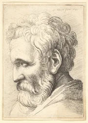 Vieil homme barbu, 1645