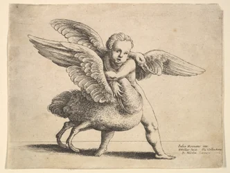 Cupidon et le cygne