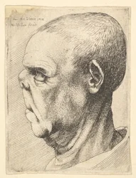 Vieillard grotesque au nez aplati, de profil vers la gauche, 1625-77