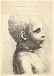 Tête et épaule d