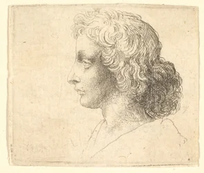 Tête de jeune homme aux cheveux longs de profil à gauche, 1644-52