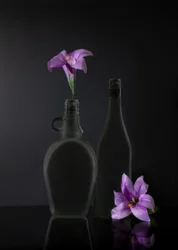Nature morte violet foncé