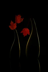 Vases aux couleurs chatoyantes de l