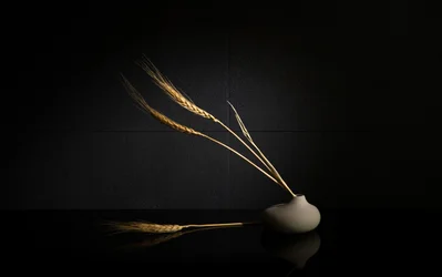 Nature morte au blé doré