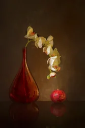 Orchidée mélancolique et grenade