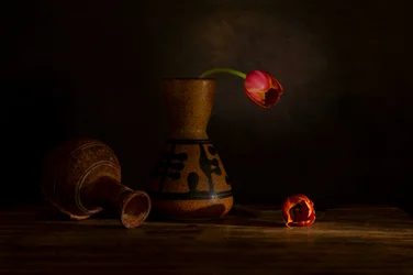Nature morte aux tulipes mélancoliques