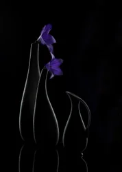 Vases « Purple Bloom »