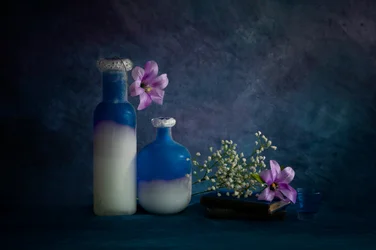 Nature morte au bleu serein