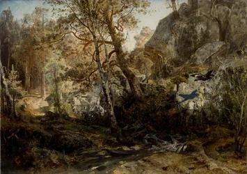 Paysage forestier finlandais