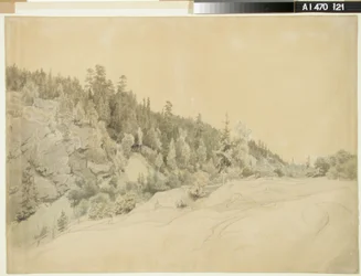 Paysage