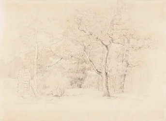 Paysage, bosquet